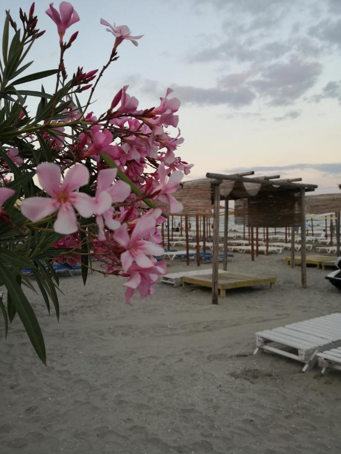 Apartament Giulia By Sea View Luxury Residence Năvodari Eksteriør billede